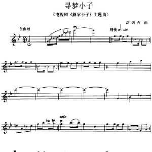 小提琴谱 | 寻梦小子 电视剧 彝家小子 主题曲 高炳点