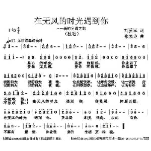 在无风的时光遇见你_通俗唱法乐谱_词曲:刘爱斌 张朱论