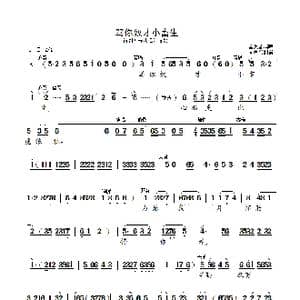 骂你奴才小畜生 孟芙蓉版 _歌曲简谱