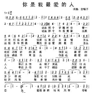 你是我最爱的人_通俗唱法乐谱_词曲:金嗓子 金嗓子