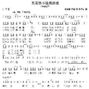 其实你不懂我的爱2_歌曲简谱_词曲:仇荣祥汪满 孙卫东