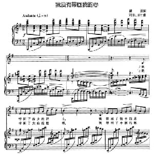 我没有带回我的心_美声唱法乐谱_词曲:瞿琮 刘庄 延生