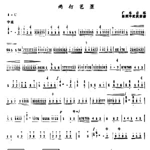 扬琴谱 | 雨打芭蕉 广东音乐 陈照华配演奏谱