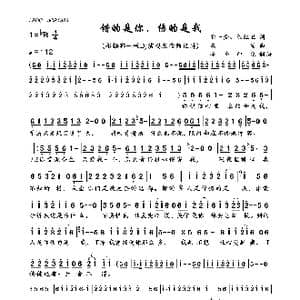 错的是你,伤的是我_歌曲简谱_词曲:郭一橙 陈红卫 东浩