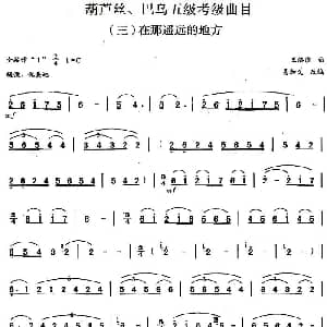 巴乌五级考级曲目 在那遥远的地方 王洛滨作曲 易加义改编