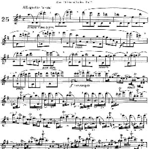 长笛曲谱 | 阿尔泰斯26首精选长笛练习曲 NO.25 Altes 阿尔泰斯