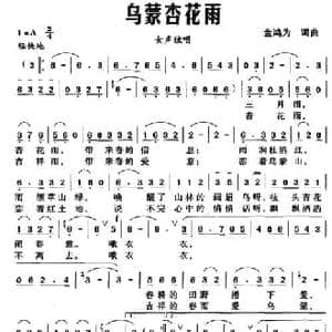 乌蒙杏花雨_民歌简谱_词曲:金鸿为 金鸿为