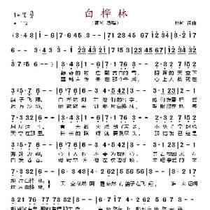 白桦林_歌曲简谱_词曲:朴树 朴树