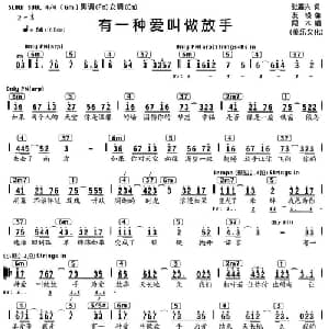 有一种爱叫做放手_通俗唱法乐谱_词曲:张嘉兴 友桢