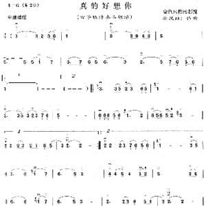 真的好想你_歌曲简谱_词曲: 李汉颖