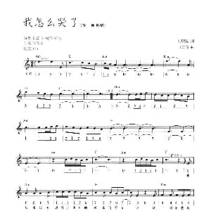 电子琴谱 | 我怎么哭了 线简混排弹唱谱 刘明瑞 田口俊