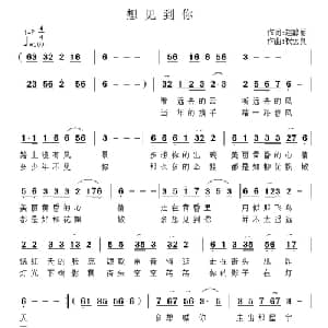 想见到你_通俗唱法乐谱_词曲:赵静丽 祝远良
