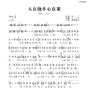 人在他乡心在家_歌曲简谱_词曲:张丰 金久哲