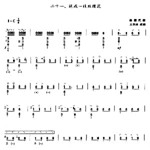 琵琶谱 | 送我一枝玫瑰花 新疆民歌 王范地改编