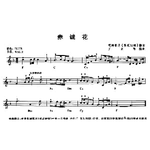 电子琴谱 | 赤诚花 王家祥