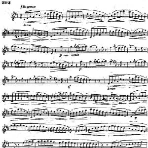 长笛曲谱 | 长笛练习曲100课之第56课 最低的几个音的发音