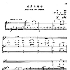 声乐教学曲库3 80欢乐与痛苦 德国 _外国歌谱_词曲:歌德 贝多芬