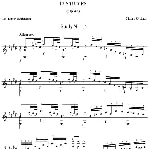 Mauro Giuliani 12 Studies,Op.48 吉他谱