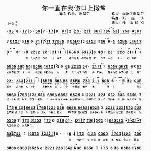 你一直在我伤口上撒盐_歌谱投稿