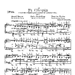 53首以肖邦练习曲为素材而作的练习曲 钢琴谱 里奥鲍尔德 戈多夫斯基