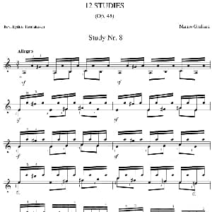 Mauro Giuliani 12 Studies,Op.48 吉他谱