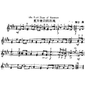 西班牙吉他独奏曲 夏天最后的玫瑰 吉他谱 摩尔