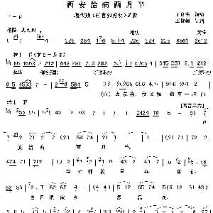 秦腔 西安治病两月半 现代戏 村官郭秀明 选段 丁良生