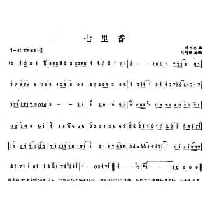 笛子谱 | 七里香