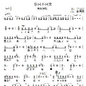 你回不回来_歌曲简谱_词曲:李需民 李需民