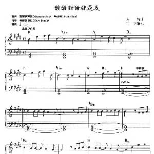 电子琴谱 | 酸酸甜甜就是我 方解