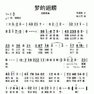 梦的翅膀_通俗唱法乐谱_词曲:徐高栋 陈大同