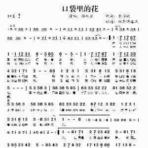 口袋里的花_歌谱投稿_词曲:彭学斌 彭学斌