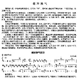 葫芦丝谱 | 葫芦丝基本技巧练习曲 循环换气