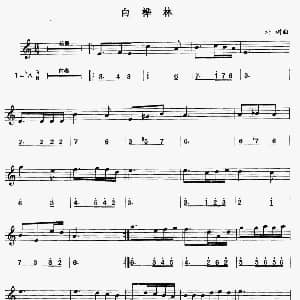 萨克斯谱 | 白桦林 线简谱对照版 朴树