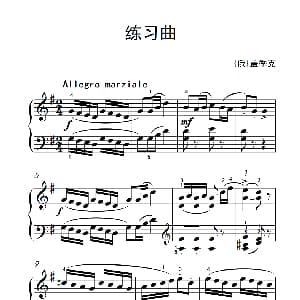 第二级 1.练习曲 钢琴谱 俄 盖季克