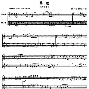 二胡谱 | 琴思 张飞龙作曲版 二胡重奏曲