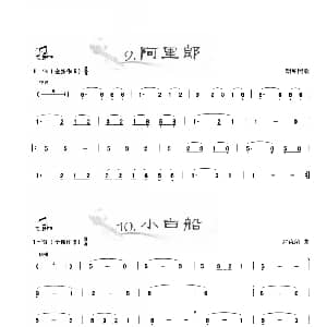 葫芦丝谱 | 葫芦丝曲精选 阿里郎 小白船 王甲坤 王甲华编著