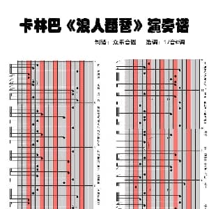 浪人琵琶 17音卡林巴琴谱演奏谱 单色凌 单色凌