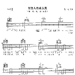 有情人终成眷属 吉他谱 郑源/赵默
