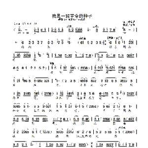 我是一颗革命的种子_歌曲简谱