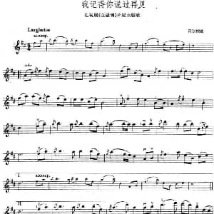 小提琴谱 | 我记得你说过再见 电视剧 金融潮 主题歌 小提琴谱 高尔棣