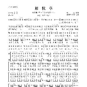 解忧草_歌曲简谱_词曲:杨望 杨望