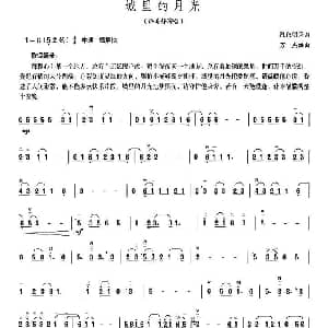 二胡谱 | 城里的月光 万杰 编曲