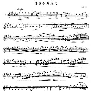 萨克斯谱 | 萨克斯练习曲合集 5—5 升D小调练习 德鲁埃