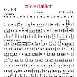 西子湖畔采茶忙_歌曲简谱_词曲: 蒋国基