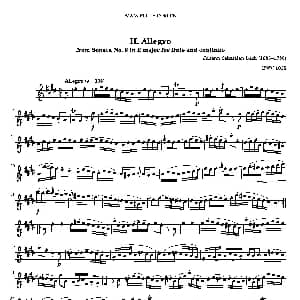 长笛曲谱 | Allegro BWV1035 巴赫