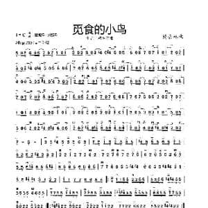 觅食的小鸟_歌曲简谱_词曲: 杨会林曲