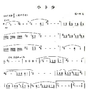 葫芦丝谱 | 小卜少 杨一丹