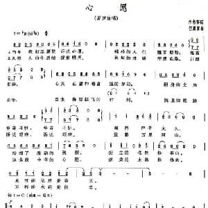 心愿_通俗唱法乐谱_词曲:任志萍 伍嘉冀
