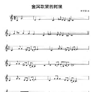 葫芦丝谱 | 金风吹来的时候 五线谱 任卫新